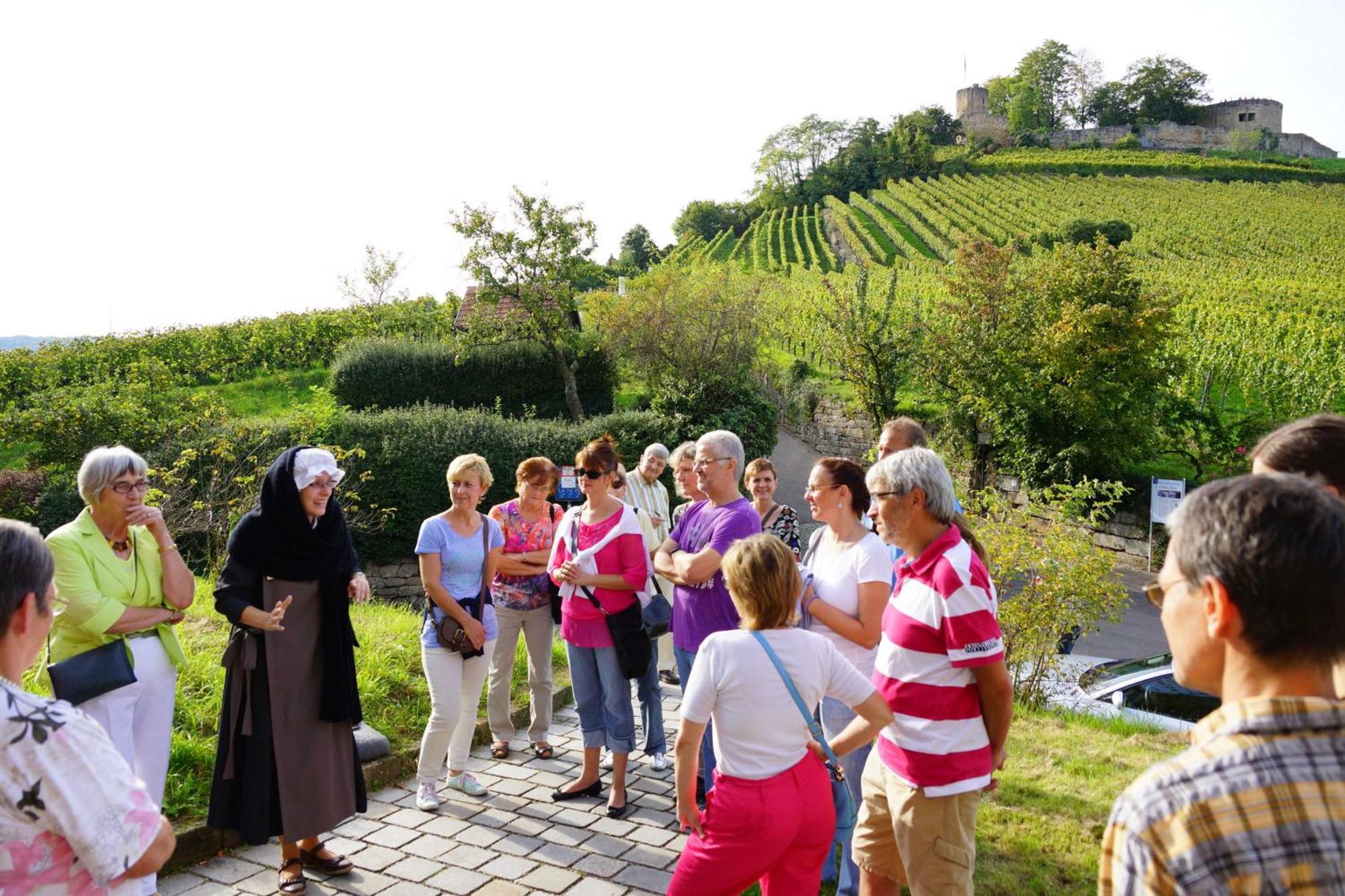 Gaestehaus Zum Wolffenturm Lehrensteinsfeld Dış mekan fotoğraf