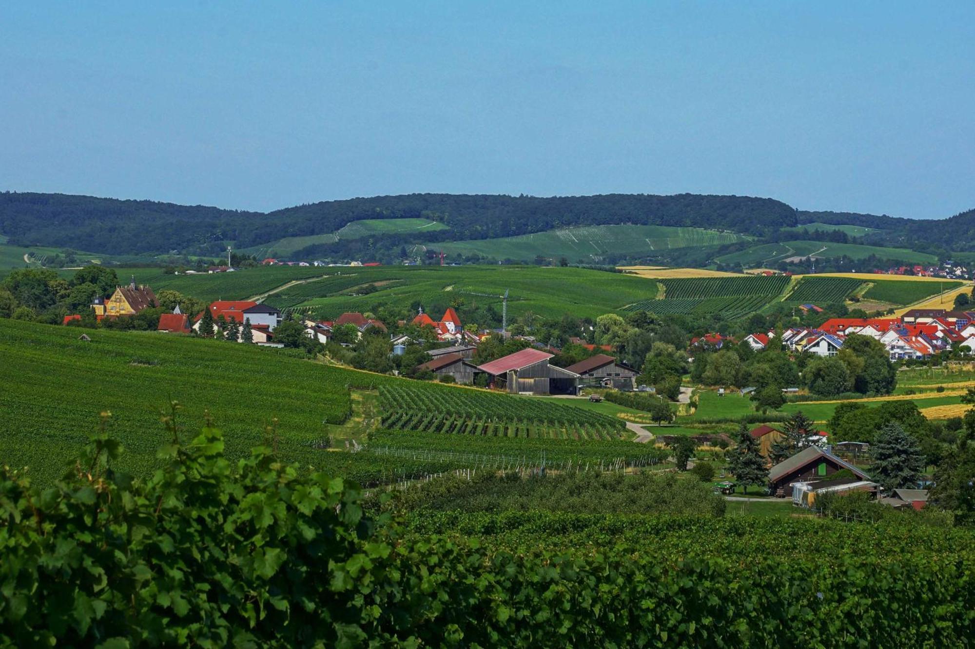 Gaestehaus Zum Wolffenturm Lehrensteinsfeld Dış mekan fotoğraf
