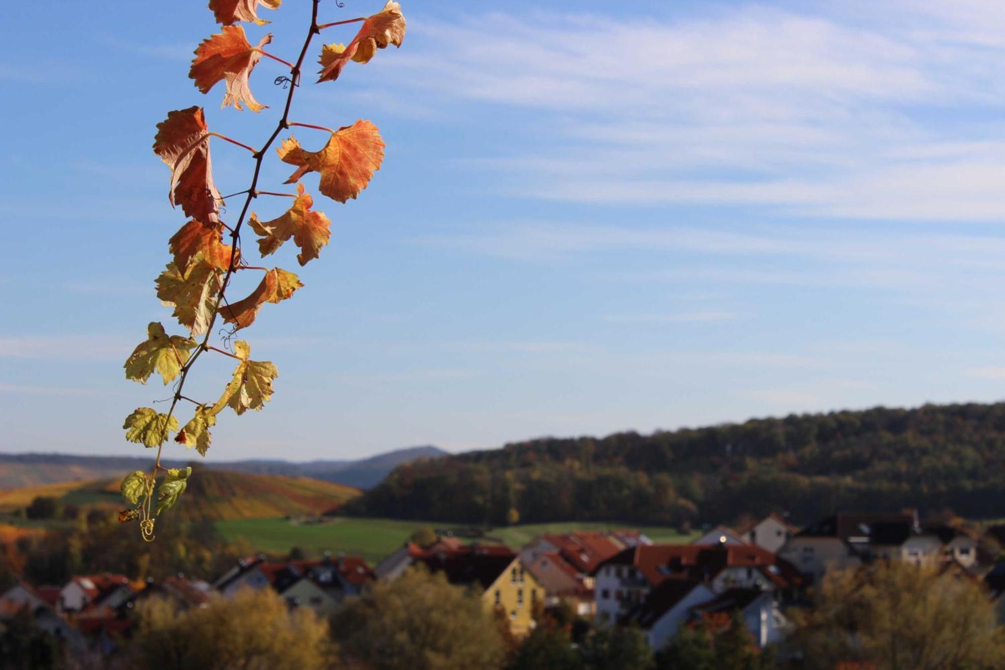 Gaestehaus Zum Wolffenturm Lehrensteinsfeld Dış mekan fotoğraf